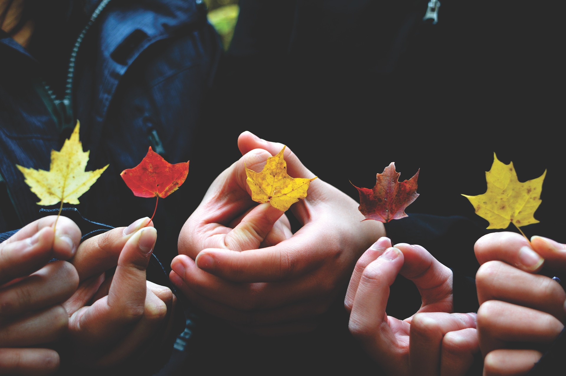 Kurs Terapia ręki dzieci i młodzieży© Kurs online. 03-04.10.2020